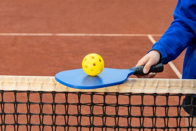 Pickle Court 1 pickleball court